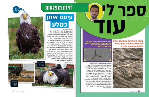 לומדים על כל מה שמעניין