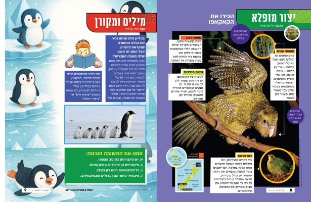 מכירים בעלי חיים מעניינים