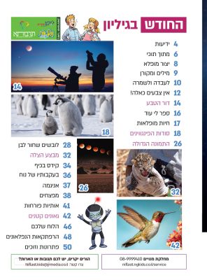 כל גיליון עם תוכן עשיר